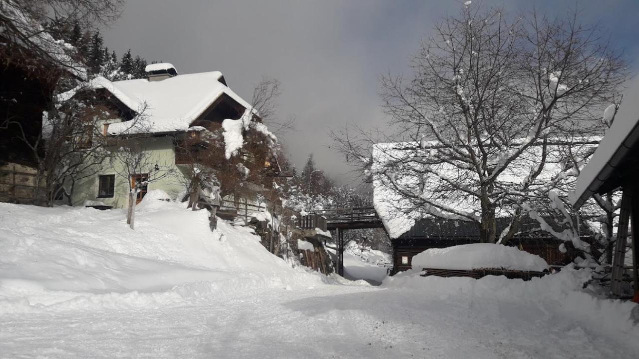 Apartments Berghof Familie Steinwender Pölling Exterior foto